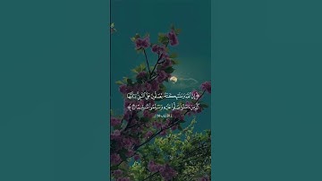 أذكروا الله | الأحزاب الآية -56 القارئ : محمد صديق المنشاوي