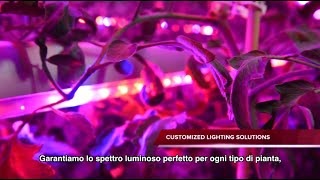 Horticultural LED Lighting by C-LED | Cefla Lighting
