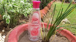 Daber gulabari rose water review, best n affordable rose water in india, rose water 4 summer winters