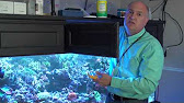 reef dynamics bpr500e bio pellet reactor youtube