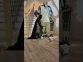Heroes can also SAVE Wood Floors