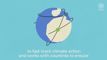 Sustainable, resilient, efficient and inclusive agrifood systems can transform our world