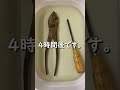 100均のクエン酸でさび落としです！ #Shorts
