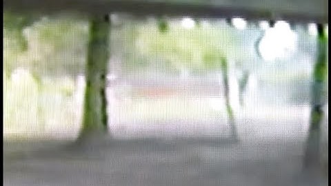 M K Davis discusses the Sasquatch altercation video (Mirrored)