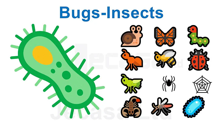 Emoji Meanings Part 16 - Bugs-Insects | Animals | English Vocabulary