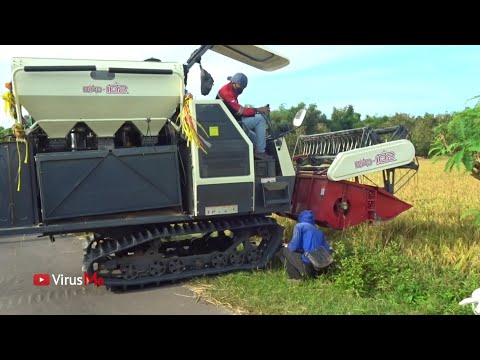 KOMBI SAWAH MAXXI BIMO TERBARU CORONG TIGA 3