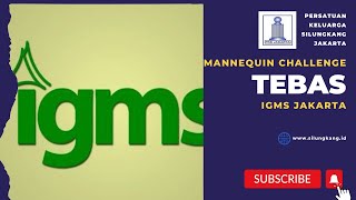 IGMS tebas