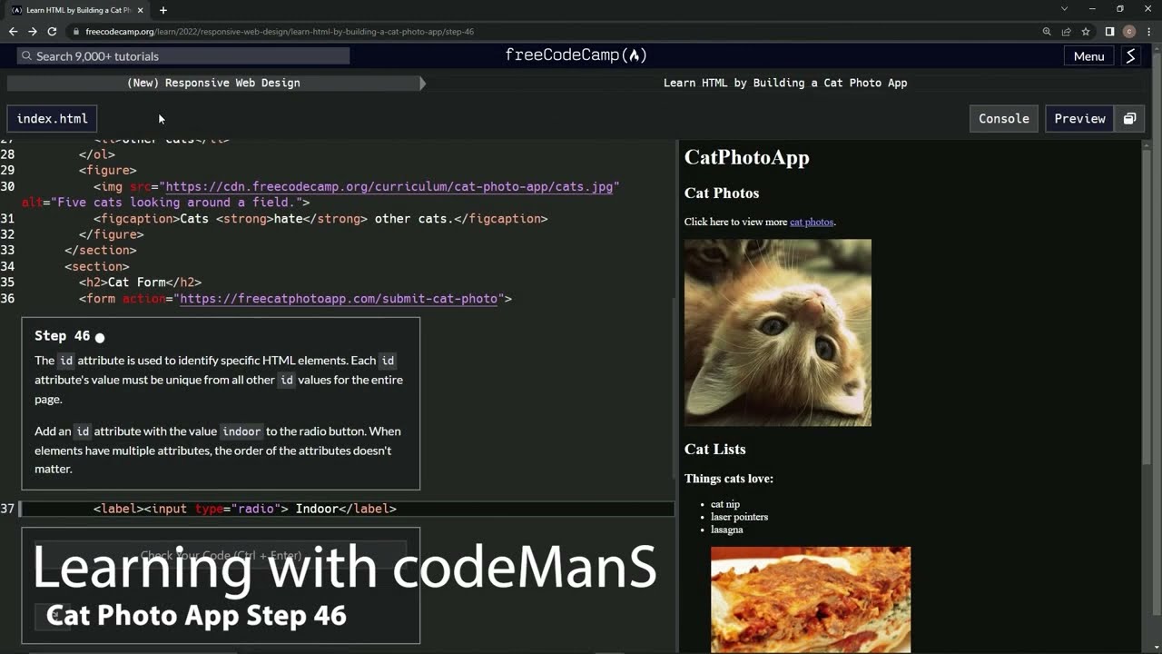 🌟 Learn HTML | freeCodeCamp (New) Responsive Web Design 🖥️ - CatPhotoApp Mastery: Step 46 ✨