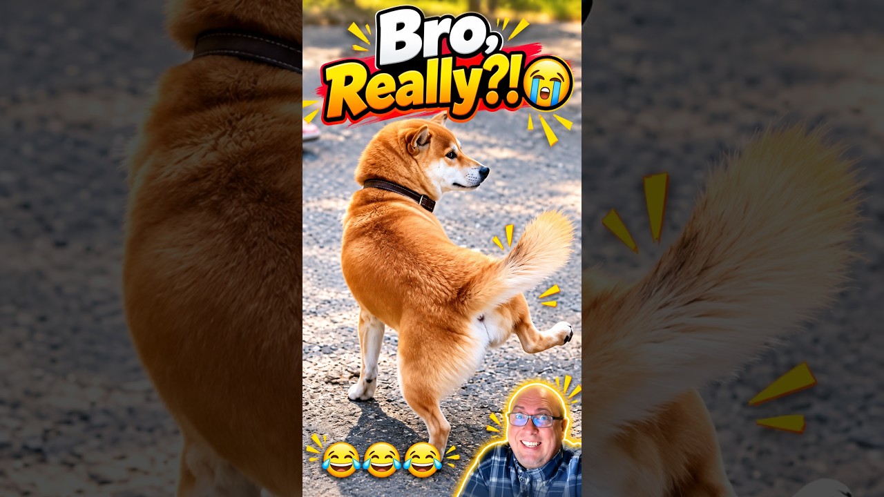 Bro, Really?! 😭 #funnydogs #dogcomedy #funnyanimals #dogshorts #viralshorts