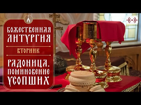 Видео: РАДОНИЦА. БОЖЕСТВЕННАЯ ЛИТУРГИЯ. Трансляция 14 мая (вторник) в 05:45