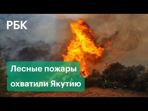 Дым от пожаров в Якутии добрался до Арктики