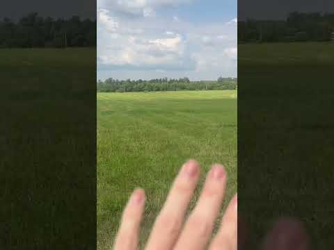 День номер 2 #гуляйГород , он же #гуляйПоле Он же #молодинскаяБитва