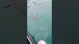 КАК В СКАЗКЕ#природа #nature #shortsvideo #travel #sea #крым #2026