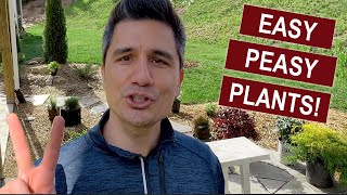 The Ultimate Top 10 Low Maintenance Landscape Plants