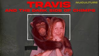 The Terrible Tale of TRAVIS THE CHIMP