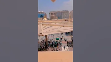Mhommad Nadi 2023 Viral Shorts 