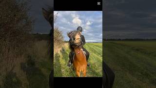 Min lille canto🥹 #equestrianjourney #equestrian #horse #pony