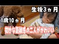 生後3ヵ月の赤ちゃんとモックの微妙な距離感がかわいい動画