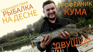 Рыбалка На Десне. Трофей Кума. Закрытие Сезона.