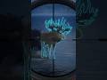 GREAT ONE MOOSE| The Hunter COTW