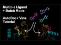 APRIMORANDO SEU DOCKING - Batch Mode + Multíplos ligantes (AutoDock Vina - Tutorial)