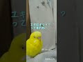 自分が喋るだけでなく、『ほんで？』と相手にも促すトリ