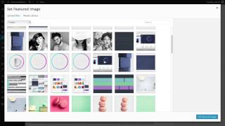 Famous Creating Projects In Divi Wealth