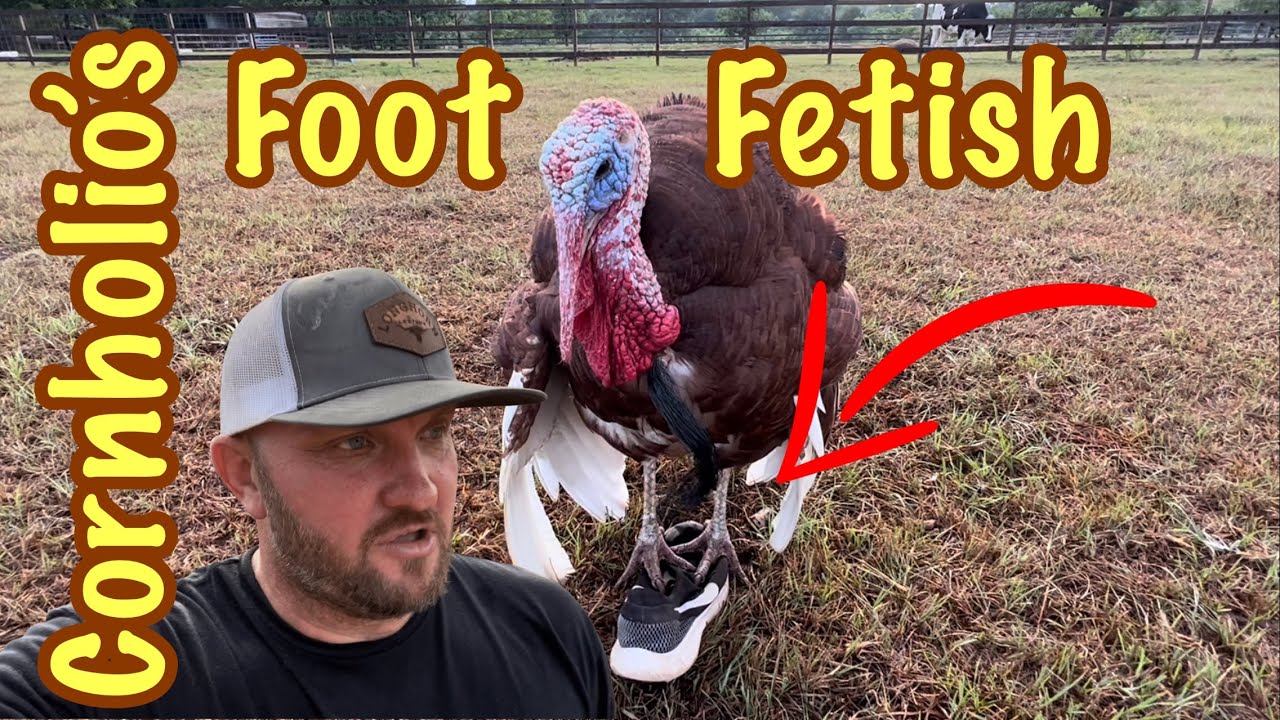 Cornholio’s Foot Fetish YouTube