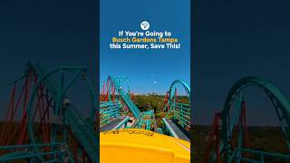 Busch Gardens Tampa Summer Guide
