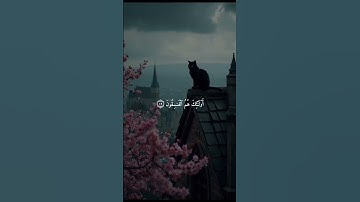 وَلَا تَكُونُوا كَالَّذِينَ نَسُوا اللَّهَ . سورة الحشر