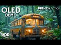 The Best of OLED: 4K 120FPS HDR (4K/8K TV)