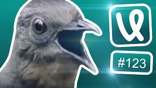 Лучшие ролики недели #123 Это моё! Всё моё! Лучшие ролики недели #123 Это моё! Всё моё!