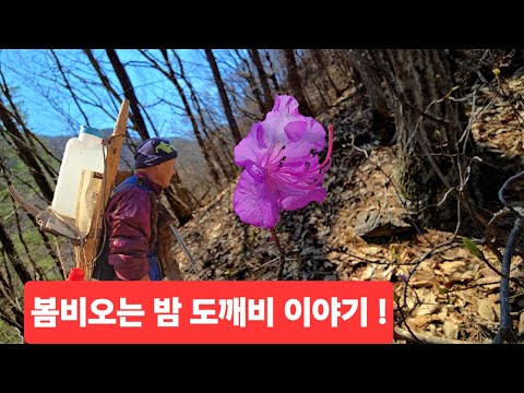 함백산 일찍퇴근 밥은 쫌 질리고 국수좀 삶아무까 ᆢ?