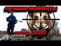 Лучшие моменты на охоте 2020