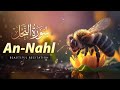 Surah an nahal  best quran recitation in world  riaz ur rahman islamic