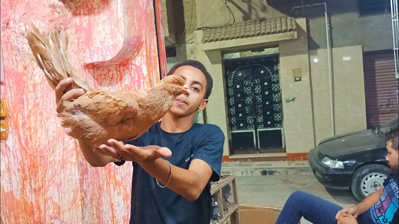 عرض الضمان 🫣مجموعه حمام روماني ولاحم🔥 فرنساوي و تلتنات عند يوسف جوده 01111712200#العناني