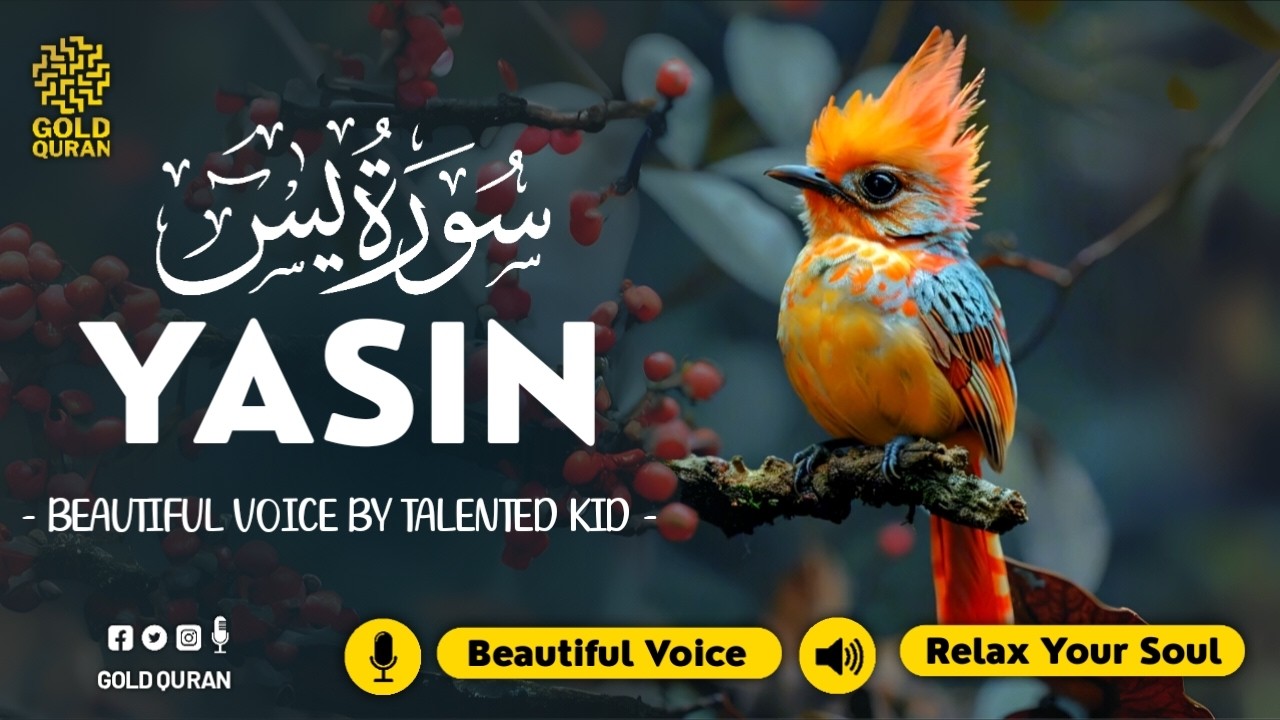 Healing Surah Yasin for Peaceful Sleep, Depression & Inner Peace ✦ Surah Yaseen Quran Audio