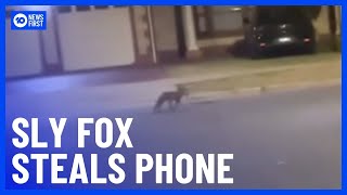 Teenage Girls Have Their Phones Stolen By Fox | 10 News First