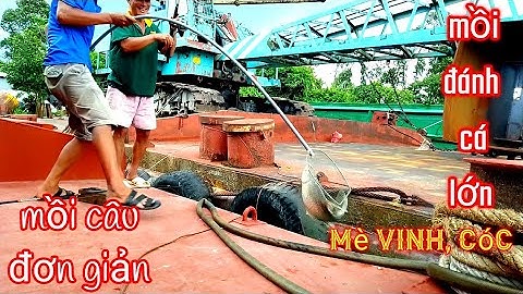 Cách Làm Mồi Câu Cá Mè Vinh / Cá Cóc / Bài Mồi Đánh Cá Lớn Rất Nhạy / xì long Fishing