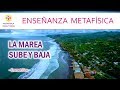 La Marea Sube y Baja - Metafísica