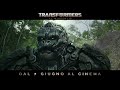 Transformers: Il Risveglio | Dal 7 giugno al cinema