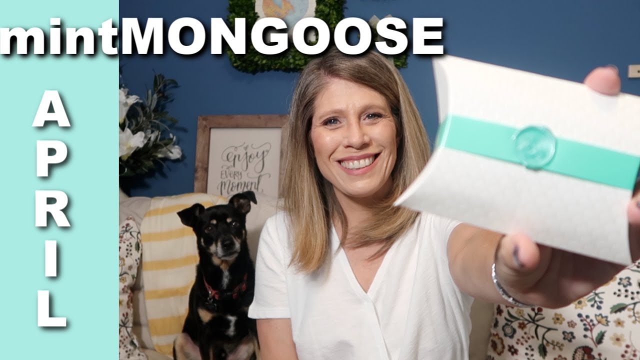 mintMongoose April 2019 Jewelry Subscription!