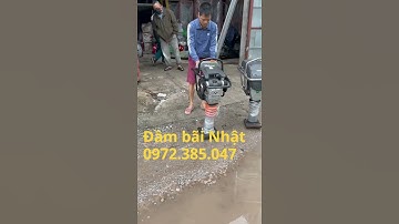 Đầm cóc bãi Nhật còn đẹp, giá rẻ MT55L, MT72 liên hệ 0972.385.047