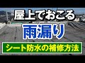 屋上で雨漏り発生!シート防水の陸屋根で雨漏りが起こる原因と修理方法【アメピタ!】