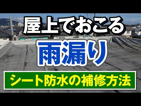 屋上で雨漏り発生！シート防水の陸屋根で雨漏りが起こる原因と修理方法【アメピタ！】