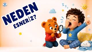 🥱 Neden Esneriz? | Vücudumuzun İlginç Tepkileri🥱 Why Do We Yawn? | Amazing Things Our Body Does