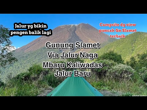 Gunung Slamet via Mbaru Kaliwadas | Jalur Punggung Naga