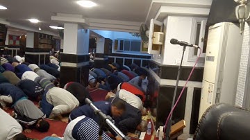 القارئ الشيخ عبد الرحمن أبو اليزيد جوده