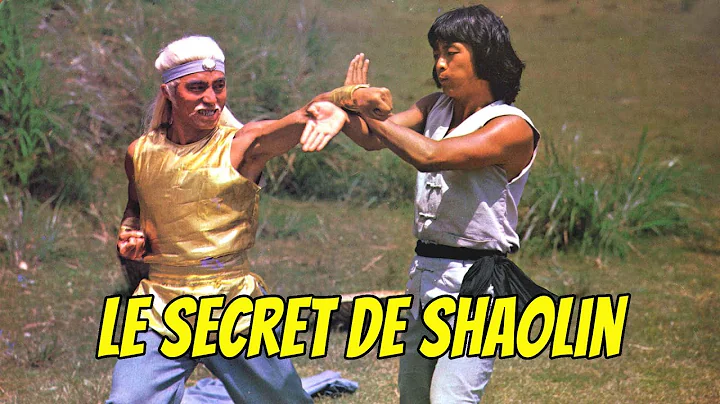Wu Tang Collection - Le secret de shaolin -Secret ...