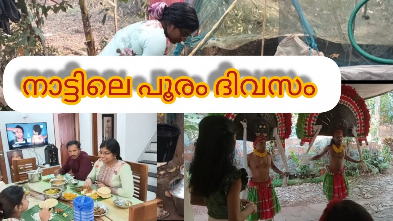 നാട്ടിലെ പൂരം ദിവസം 